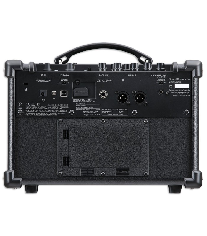 Inputs of the bass amplifier Boss model Dual Cube Bass LX 10W