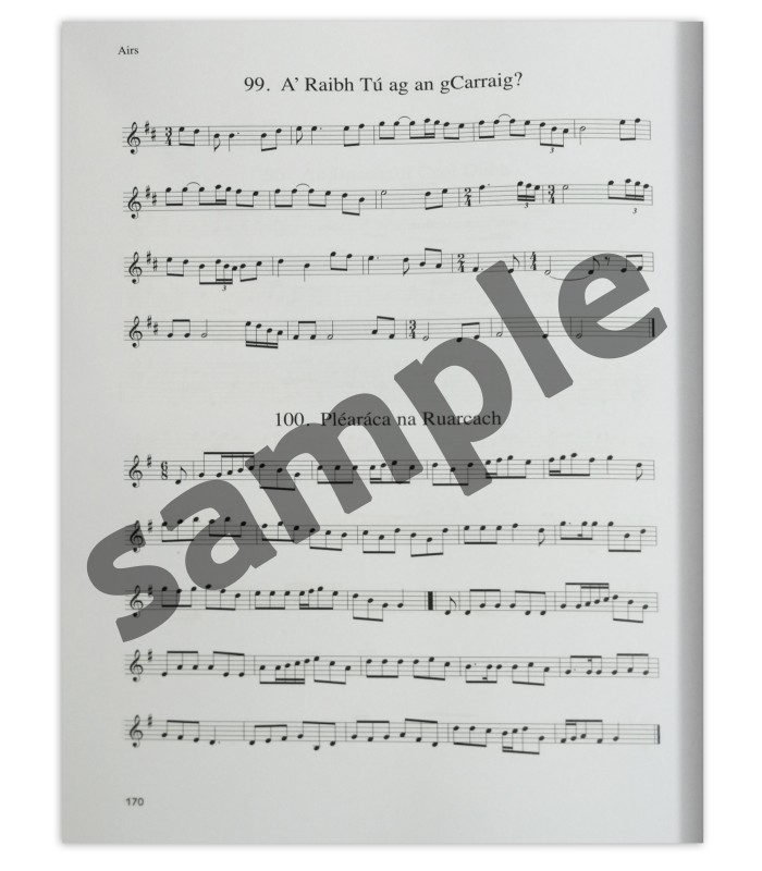 Amostra do livro The Irish Fiddle Book