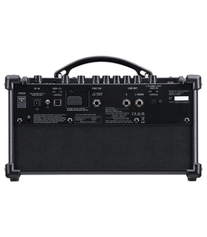 Inputs of the amplifier Boss model Dual Cube LX 10W for guitar