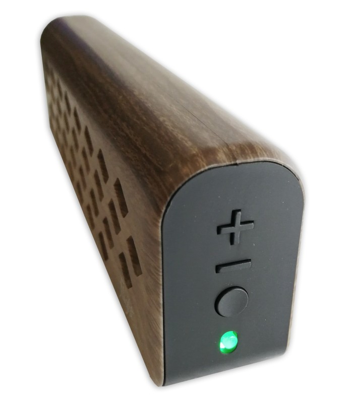 Detalhe dos controlos do amplificador Flight modelo Mini 6247