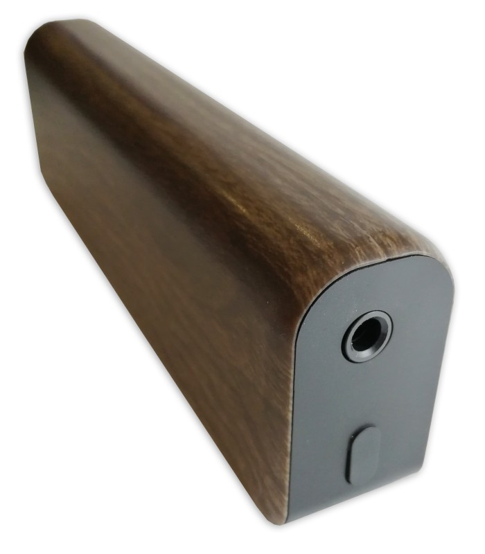 Input detail of the amplifier Fligtht model Mini 6247