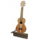 Amplificador Flight modelo Mini 6247 con un ukelele