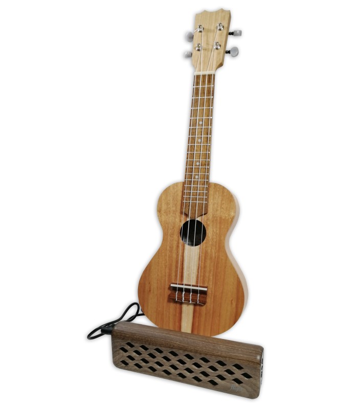 Amplificador Flight modelo Mini 6247 com um ukulele