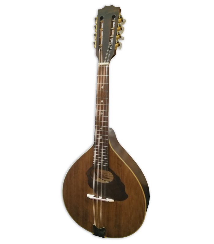 Mandola Gewa model Pro Arte Antique