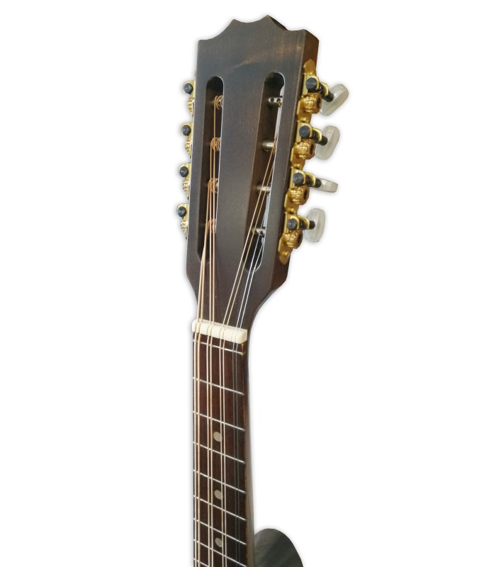 Cabeza de la mandola Gewa modelo Pro Arte Antique