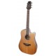 Electroacoustic guitar Takamine model GD20CE NS CW Dreadnought with natural finish