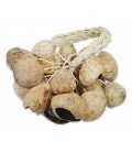 Shaker Toca T SS Seed Husks