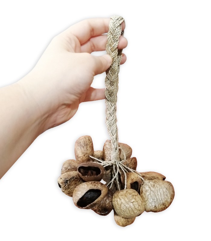 Shaker Toca model T SS seed husks hold by a hand