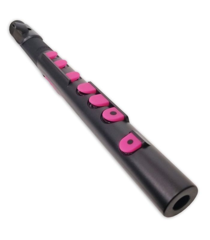 Body detail of the flute Nuvo Toot model N 430TBPK