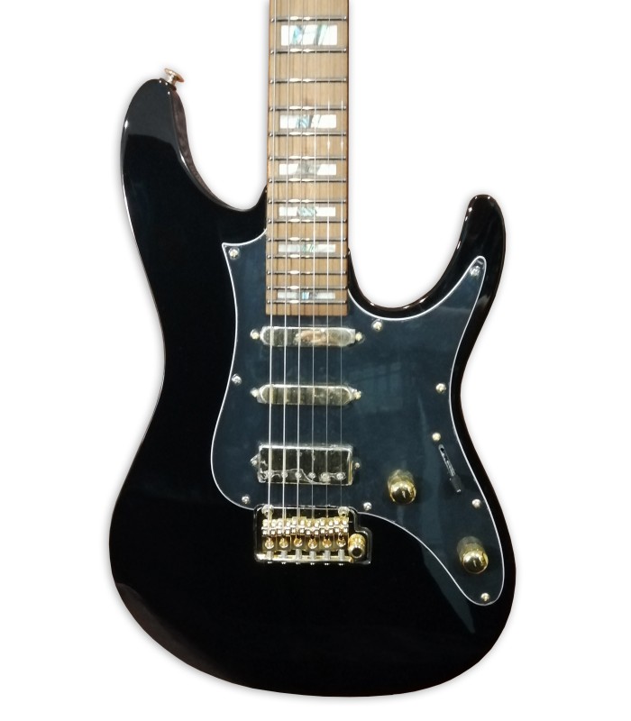 Cuerpo y pastillas de la guitarra eléctrica Ibanez modelo THBB10 Tim Henson