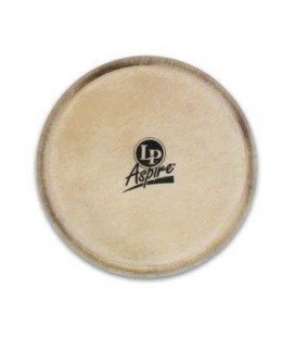 Photo of bongo head LPA663