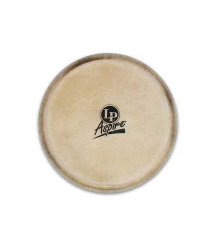 Photo of bongo head LPA663 