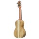 Back and sides of the APC soprano ukulele SS Simple model