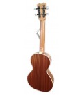Fondo y aros en sapeli del guitarrico APC modelo GUI307