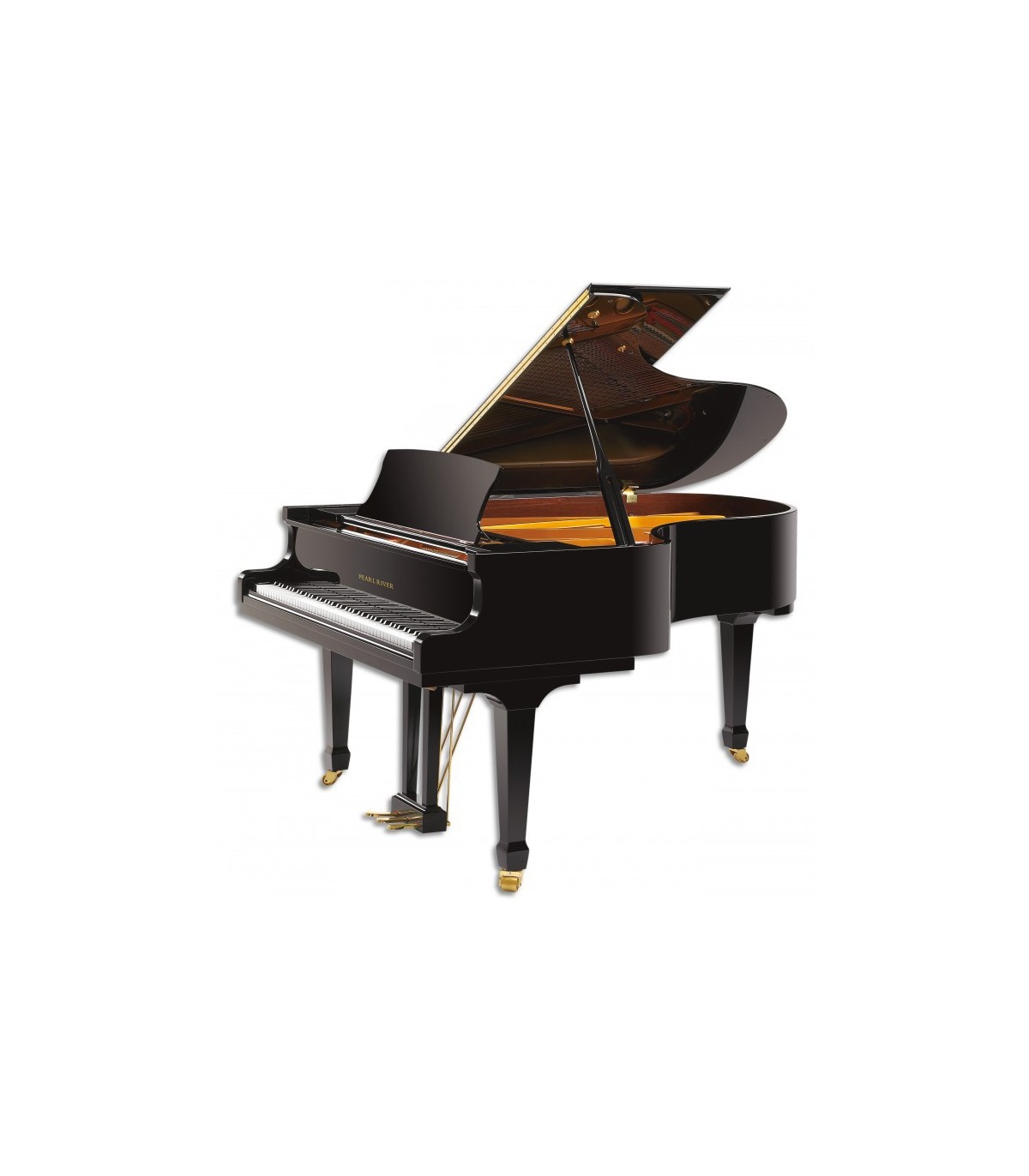 Pianos acústicos
verticais e de cauda no Salão Musical