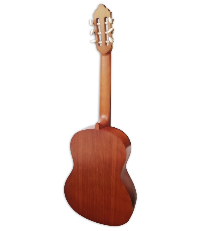 Fondo y aros en nato la guitarra clásica Valencia modelo VC-204 natural mate