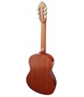 Fundo e ilhargas em nato da guitarra clássica Valencia modelo VC-204 natural mate