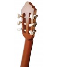 Carrilhão da guitarra clássica Valencia modelo VC-204 natural mate