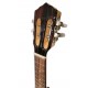 Cabeza del cavaquinho Artimúsica modelo CV18C Lujo