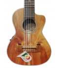 Koa top of the guitalele APC model GT CW Traditional