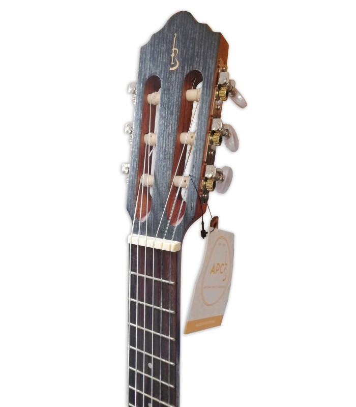 Cabeça do guitalele APC modelo GT CW Tradicional