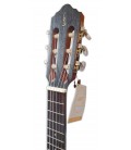 Head of the guitalele APC model GT CW Traditional