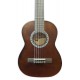 Tampo em tília da guitarra clássica Gewa modelo PS510110 1/4 com acabamento mate cor nogueira