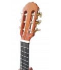 Cabeça da guitarra clássica Gewa modelo PS510310 1/4
