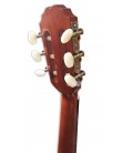 Carrilhão da guitarra clássica Gewa modelo PS510310 1/4