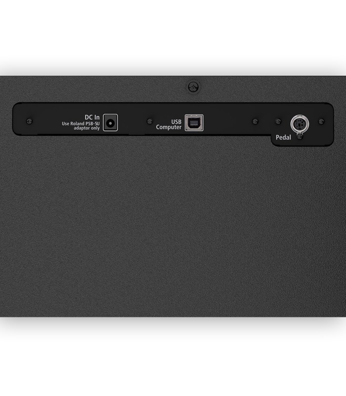 Power supply, USB Computer and pedal inputs of the digital piano Roland model F107 BKX