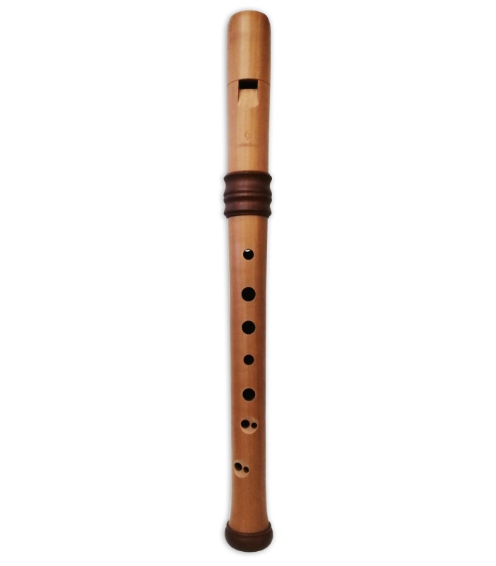 Flautas de
bisel no Salão Musical