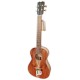 Baritone ukulele APC model BT Traditional