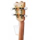 Machine head of the baritone ukulele APC model BT Traditional