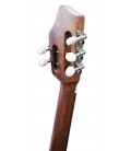 Clavijero del cavaquinho rajão madeirense Artimúsica modelo RJ80B Base