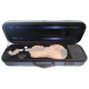 Example of a violin inseide the case Rapsody model City blue