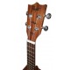Cabeça do ukulele concerto Flight modelo AUC-33 Stardust