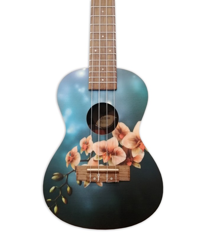 Mahogany top with 'Orchid' illustration of the concert ukulele Flight model AUC-33