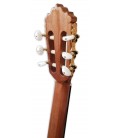 Carrilhão da guitarra clássica Alhambra modelo 6
