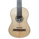 Spruce top of the viola da Terra Artimúsica model VA04S Terceira Simple with 18 strings
