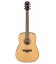 Guitarra Folk Ibanez AW65LG Dreadnought Natural