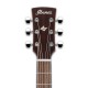 Cabeça da guitarra folk Ibanez modelo AW65LG Dreadnought