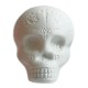 Shaker LP model LP006 Skull Shaker in white color