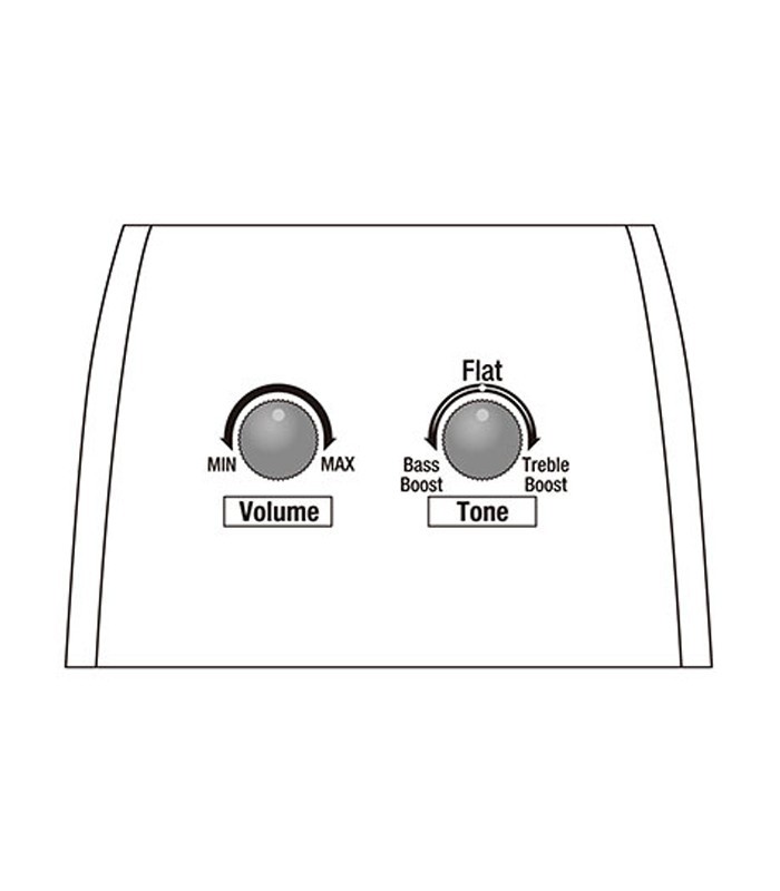 Controls infographic of the Electroacoustic guitar Ibanez model AAD170CE LGS