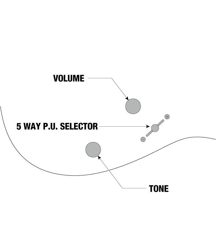 Controls infographic of the electric guitar Ibanez model RGRT421 WK