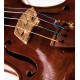Detail of the strings Thomastik model Infeld IB100 Composite Core on a violin
