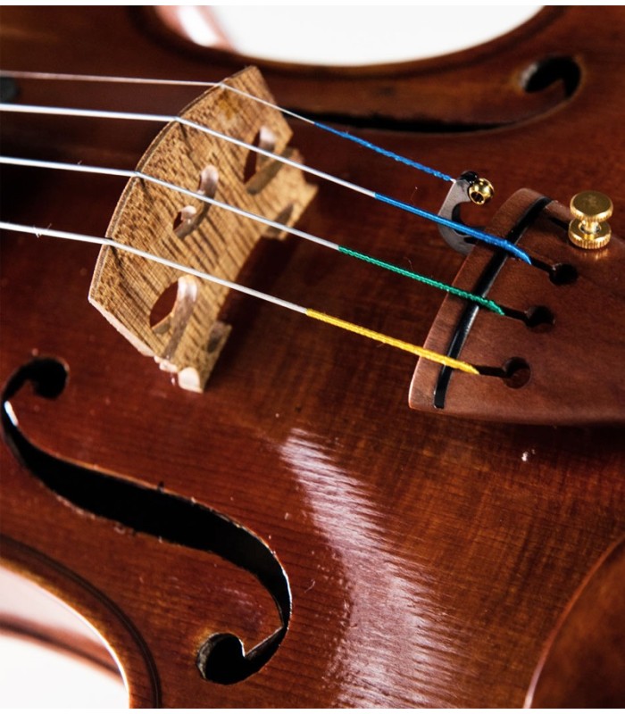 Detalhe das cordas Thomastik modelo Infeld IB100 Composite Core colocadas num violino