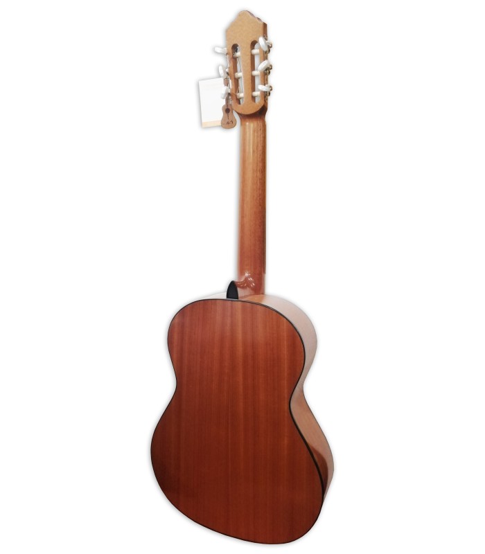 Fondo y aros en sapelie de la guitarra clásica APC modelo 1C para zurdo
