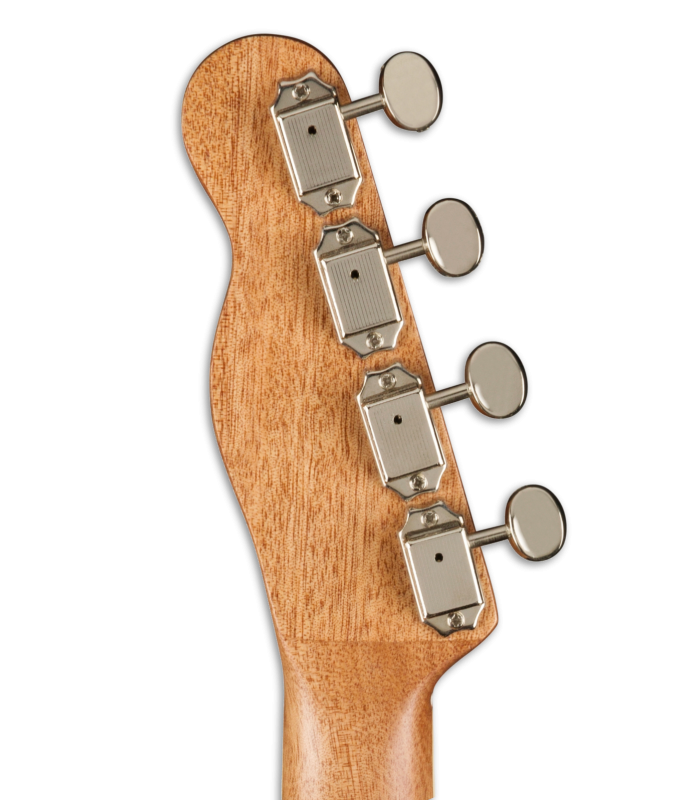 Ukelele Concierto Fender Zuma Exotic Bocote WN