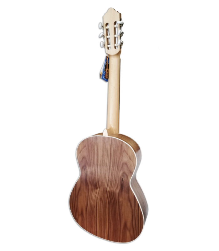 Fundo e ilhargas em nogueira da guitarra clássica APC 5S OP