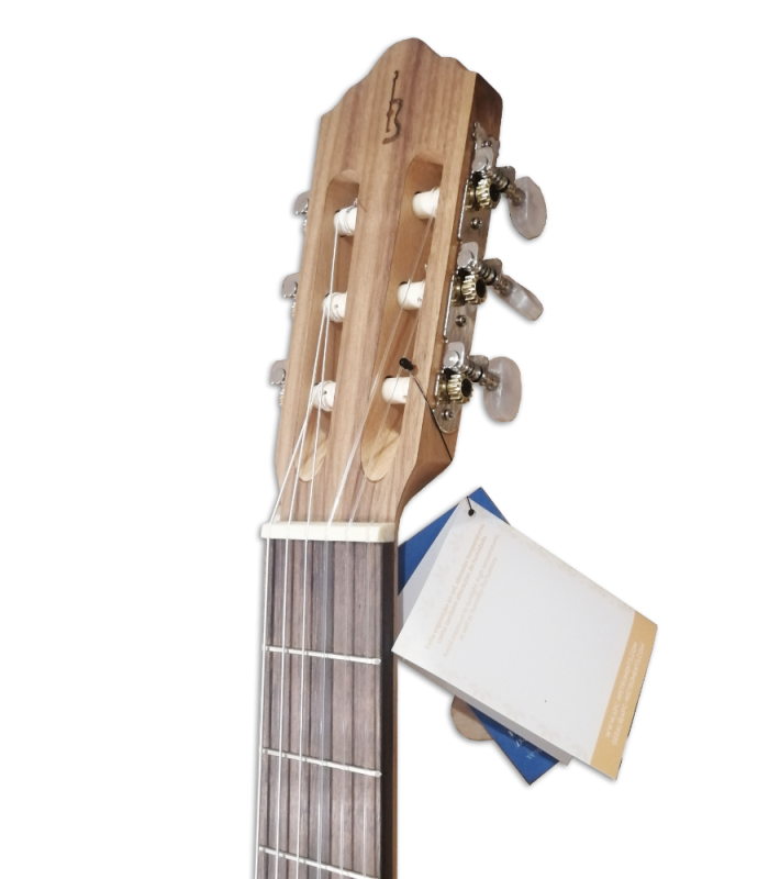 Cabeza de la guitarra clásica APC 5S OP